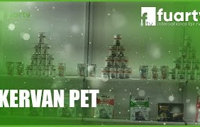 mqdefault - 2024-10-14T184601.450