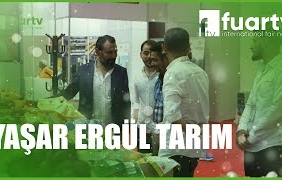 mqdefault - 2024-10-14T184743.868