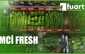 mqdefault - 2024-10-14T184830.645