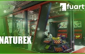 mqdefault - 2024-10-14T185035.049