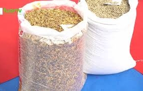 mqdefault - 2024-10-30T145856.581