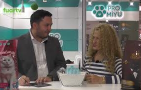 mqdefault - 2024-10-30T150154.547