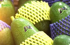 mqdefault - 2024-10-30T150317.882