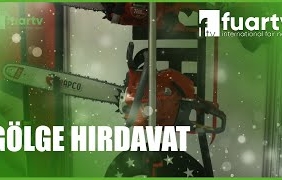 mqdefault - 2024-10-30T150346.554