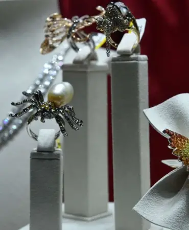 whatsapp-image-2025-09-01-at-115737