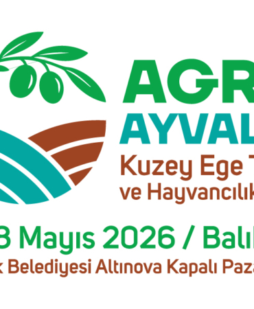 202601151657561794